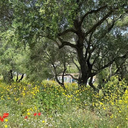 Baia Cea 4* Bari Sardo