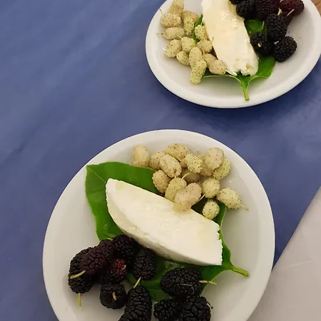 Baia Cea Отель 3*