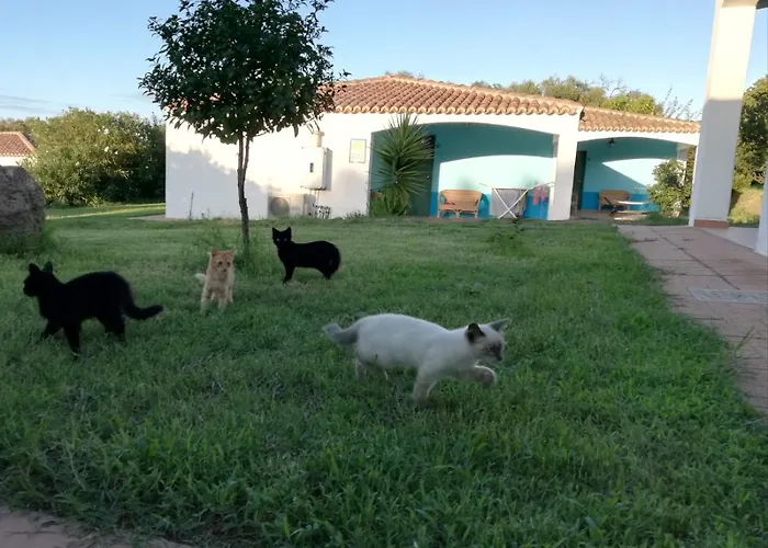 Baia Cea Hotel Bari Sardo