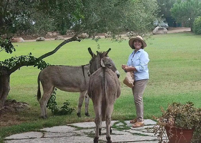 Baia Cea 4* Bari Sardo