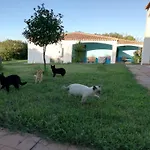 Baia Cea Hotel Bari Sardo