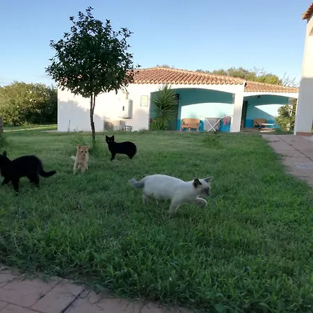 Baia Cea Отель Бари-Сардо