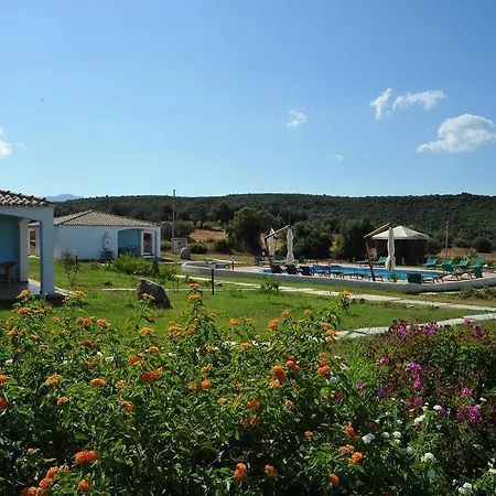 Baia Cea ホテル 4*