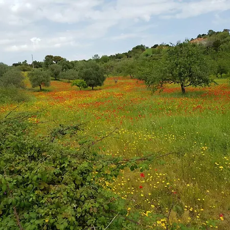 Отель Baia Cea 4*