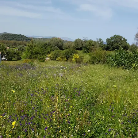 Baia Cea Отель Бари-Сардо