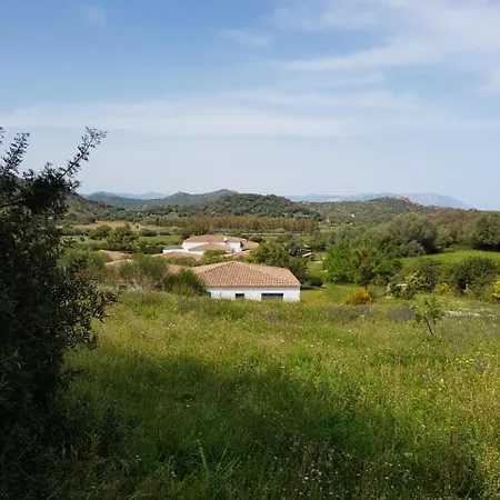 Отель Baia Cea 4*