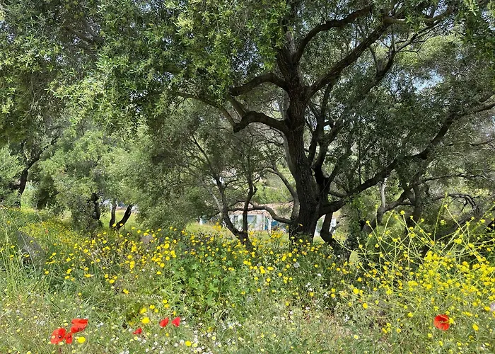 Baia Cea 4* Bari Sardo