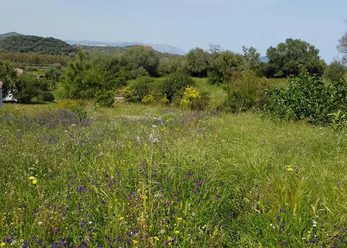 Baia Cea Otel Bari Sardo